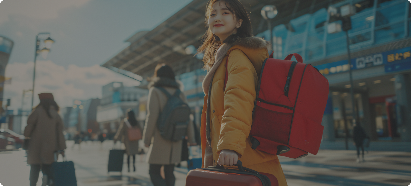 GoTransfer24 Transfer Service